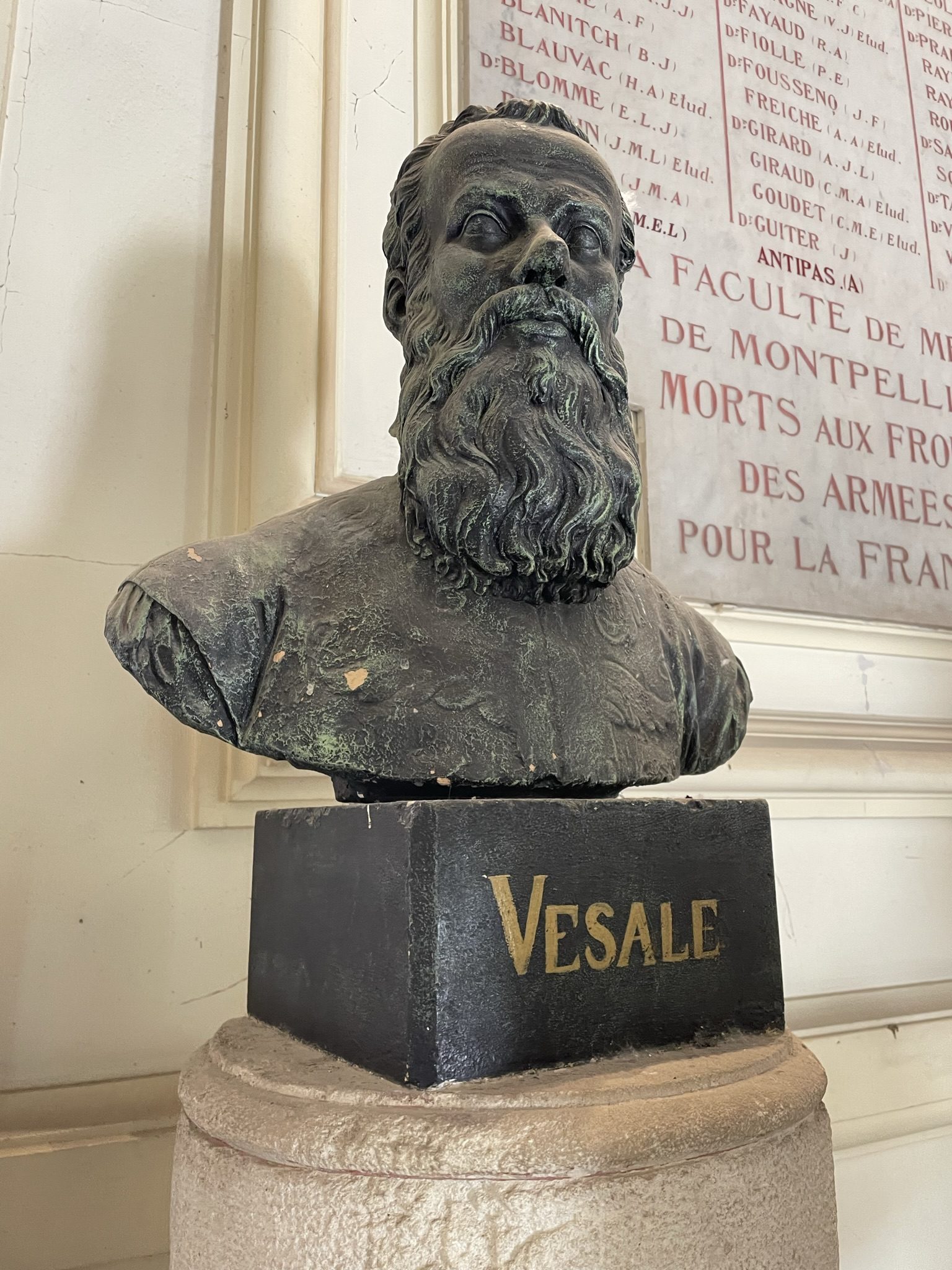 Vesalius bust, Montpellier (by Andrea Angelucci).JPEG